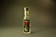 Cameron Gin 29