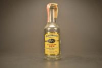 Fleischmann'S Distilled Dry Gin 576